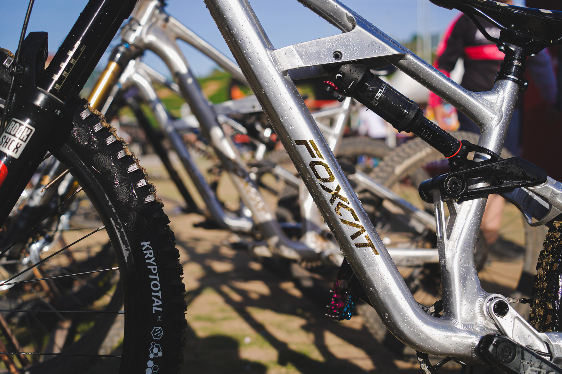 MARKHOR-FOXCAT 170-silver-04